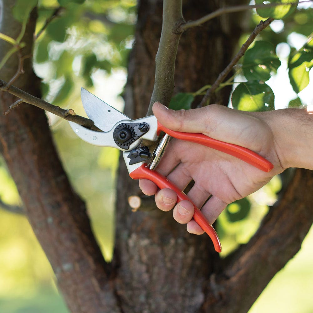 Precision Blade Pruners Garden Secateurs Plant Trimmers Rose Herbs Hydroponics 
