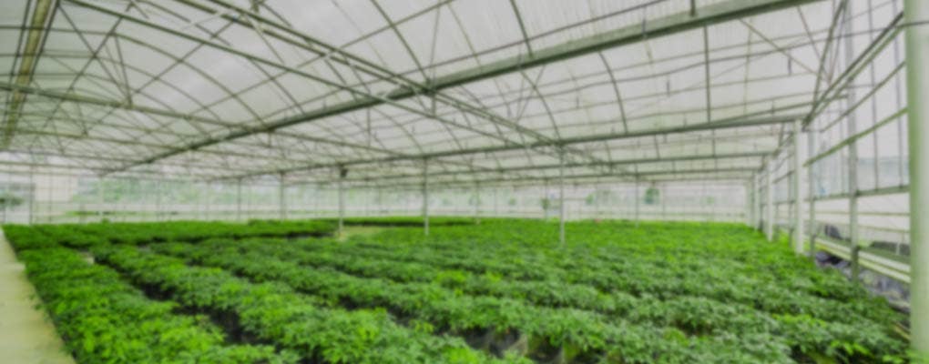 Greenhouse Supplies