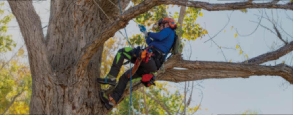 Arborist Supplies