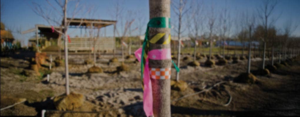 Plant Markers & Plant Tags