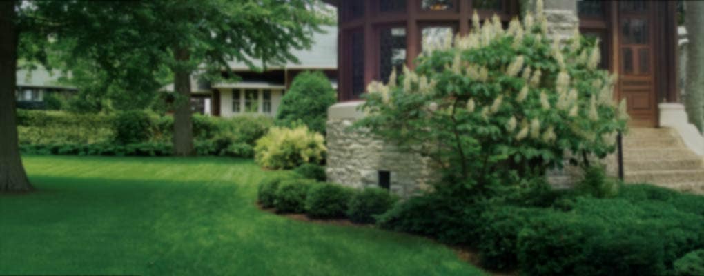 Turf & Landscape