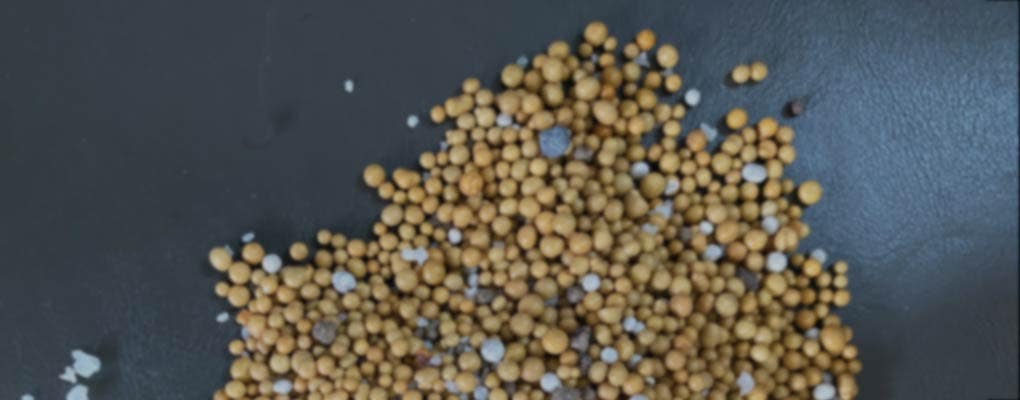 Fertilizers & Treatments
