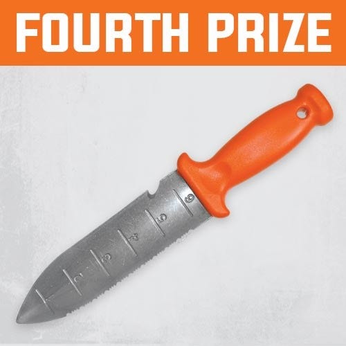 4th Prize