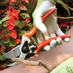 hand pruners buying guide image