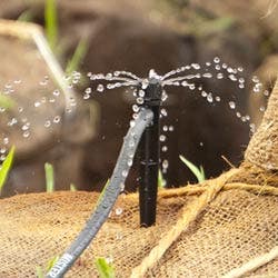 drip irrigation guide image