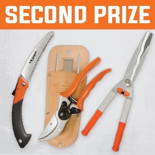 2nd Prize