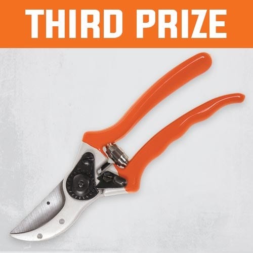 3rd Prize