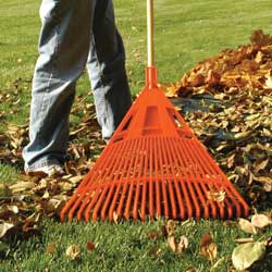 fall lawn care tips image