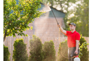 Basic Pest Control Guide - Insect Control & IPM | A.M. Leonard, Inc.
