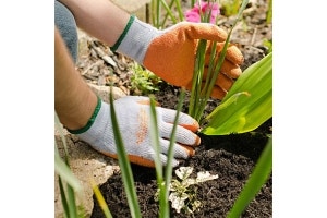 Coated Gloves Buying Guide – Find the Best Work Gloves | A.M. Leonard, Inc.