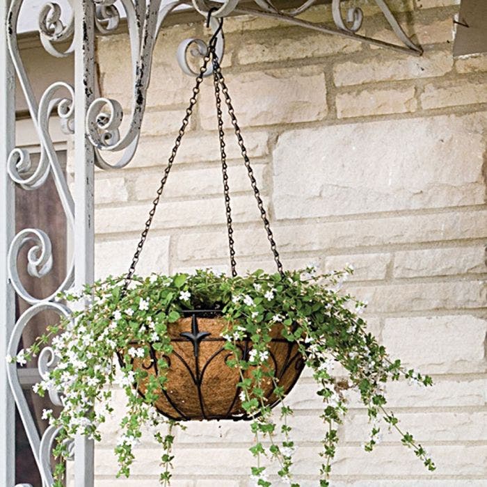 Wire Hanging Basket Fleur de Lis Coco Liner and Chain 14in Diam Wire Hanging Basket Fleur de Lis Coco Liner and Chain 14in Diam