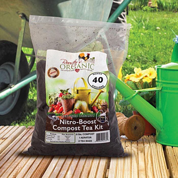 Should We Compost Tea Bags at Home?