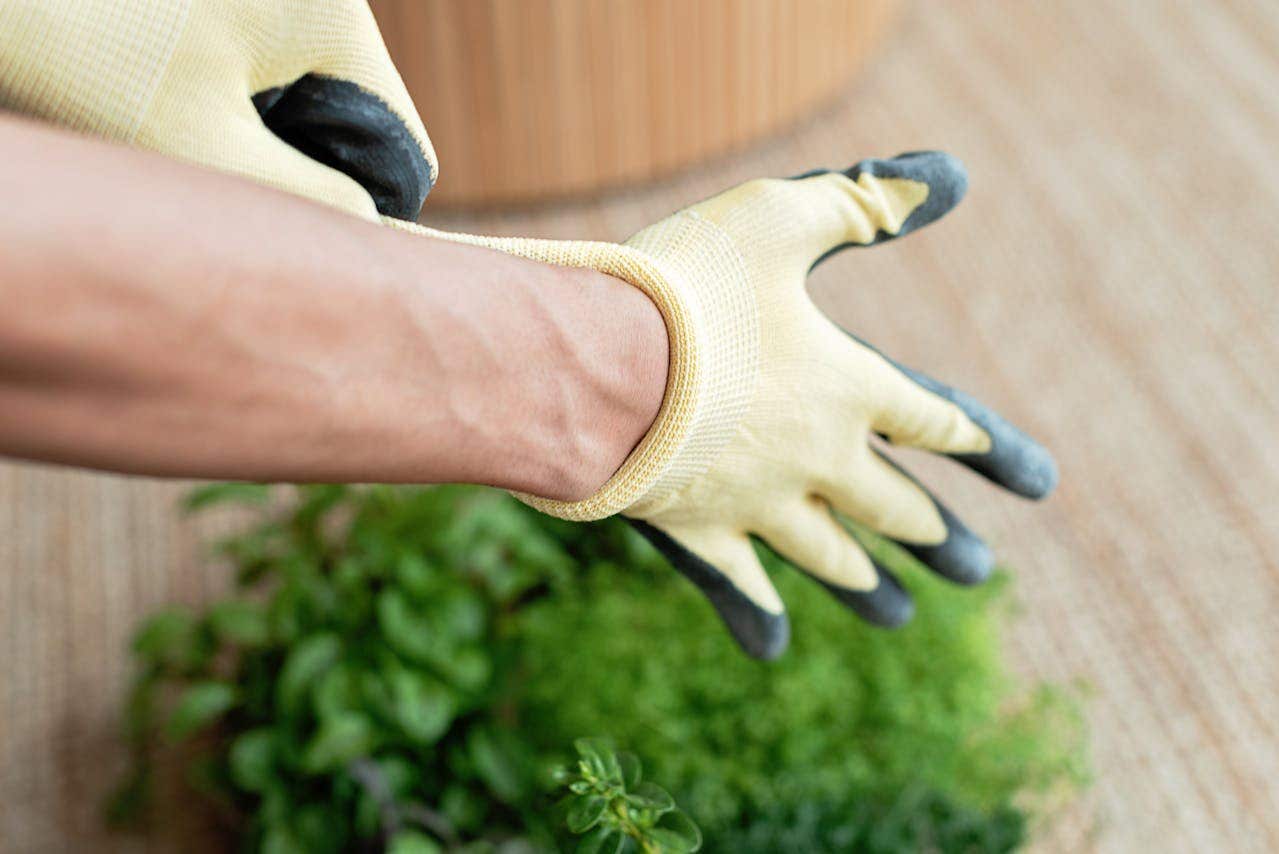 Why You Should Wear Gloves | A.M. Leonard, Inc.