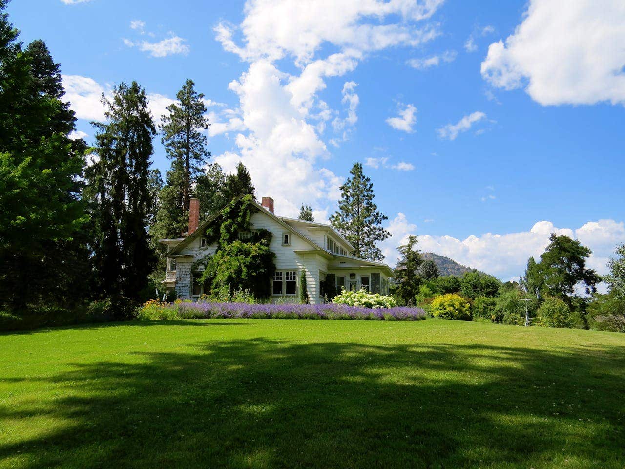 Seasonal Lawn Care Guide | A.M. Leonard, Inc.