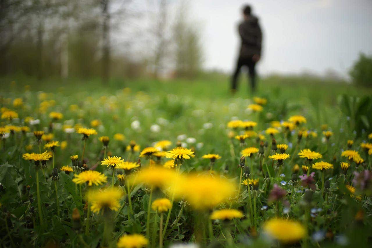 Weed Control Product Guide | A.M. Leonard, Inc.