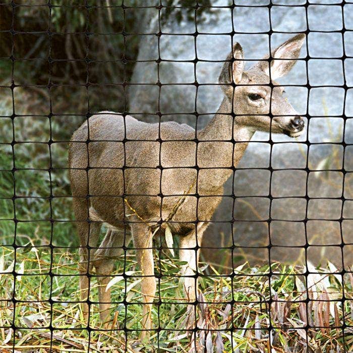 How to Build a Deer Fence in 7 Easy Steps | A.M. Leonard, Inc.