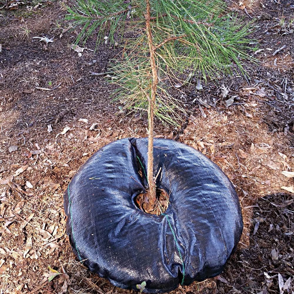 Image of TreeDiaper Plant Hydration System, Round, 36in Diameter